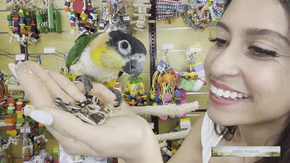 5LB 3400 Wholesome Conure & Cockatiel Blend