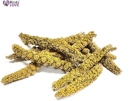Birds LOVE Millet Tips & Tails for Birds - Parakeets, Cockatiels, Lovebirds, Budgies, Canaries, Cockatoos - Natural & Healthy Millet for Birds, Parakeet Food & Treats for all Parrots, 5oz