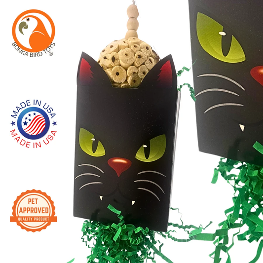 Halloween Spooky Cat Box