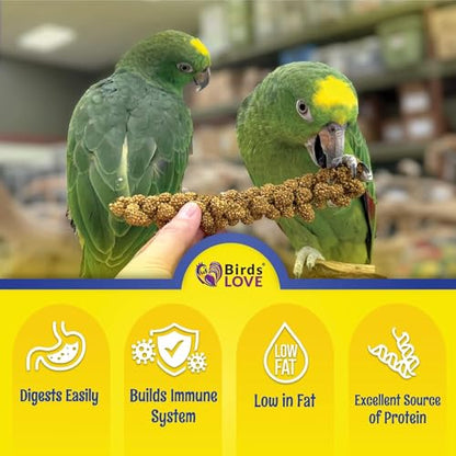 Birds LOVE Millet Tips & Tails for Birds - Parakeets, Cockatiels, Lovebirds, Budgies, Canaries, Cockatoos - Natural & Healthy Millet for Birds, Parakeet Food & Treats for all Parrots, 5oz