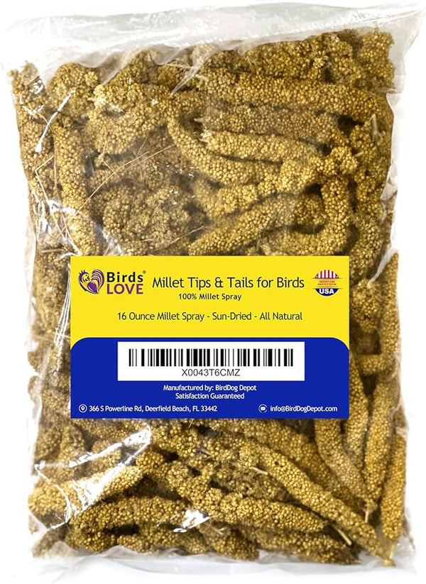 Birds LOVE Millet Tips & Tails for Birds - Parakeets, Cockatiels, Lovebirds, Finches, Budgies, Canaries, Cockatoos - Natural & Healthy Millet for Birds - Parakeet Food & Treats for All Parrots, 1lb