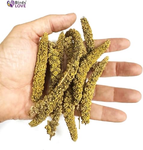 Birds LOVE Millet Tips & Tails for Birds - Parakeets, Cockatiels, Lovebirds, Budgies, Canaries, Cockatoos - Natural & Healthy Millet for Birds, Parakeet Food & Treats for all Parrots, 5oz