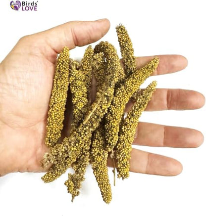 Birds LOVE Millet Tips & Tails for Birds - Parakeets, Cockatiels, Lovebirds, Budgies, Canaries, Cockatoos - Natural & Healthy Millet for Birds, Parakeet Food & Treats for all Parrots, 5oz