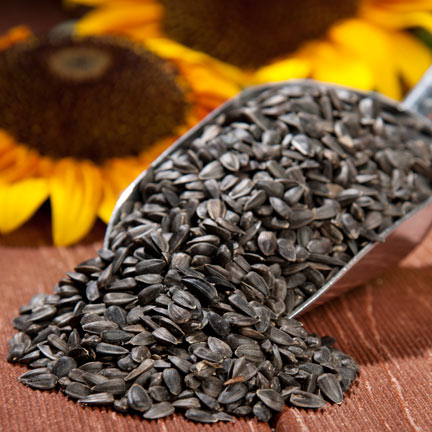 Black Sunflower Seeds, 40 lbs