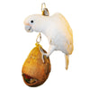 Coco Monkey Coconut Shell Bird Toy