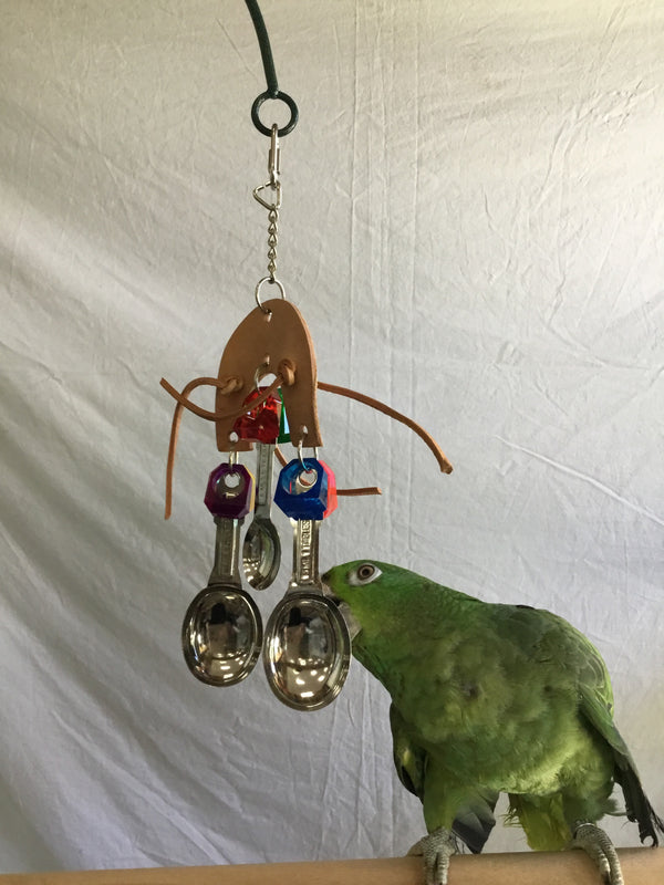 Birds LOVE Lucky Horseshoe and Spoons
