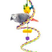 Cotton Rope Boing, 3/4" X 63"