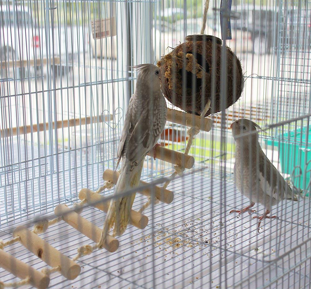 Birds Love Coconut Shell Hut Home with Rope Ladder