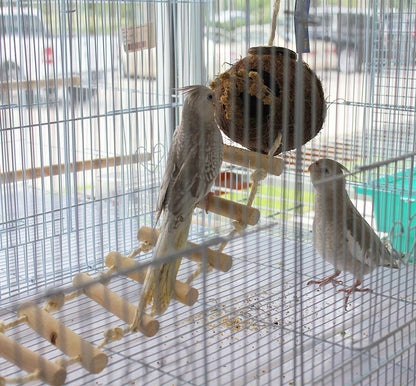 Birds Love Coconut Shell Hut Home with Rope Ladder