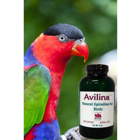 Avilina High Potency Multivitamin Supplement 4oz