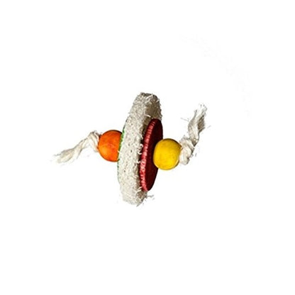Loofa Disc Food Bird Toy