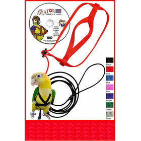 The AVIATOR Pet Bird Harness and Leash, Red, X-Large