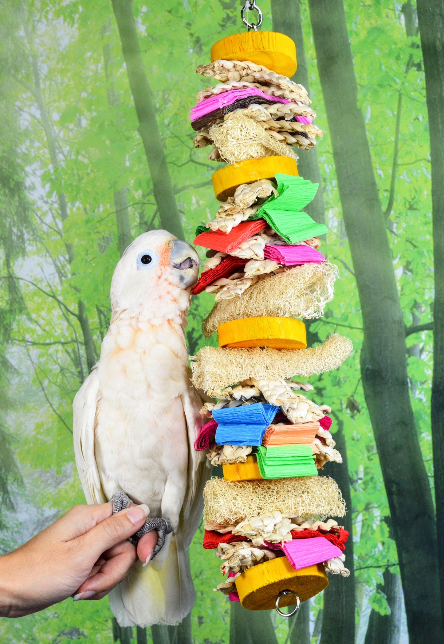 HANGING DISC WITH LOOFAH