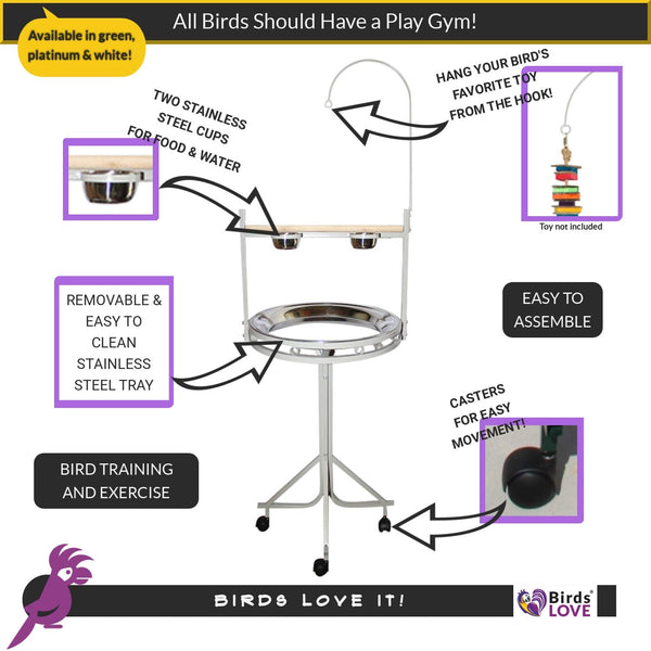 HQ Bird Playstand, White