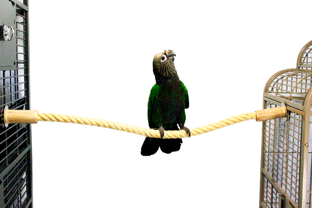 Birds LOVE Sisal Rope Perch, 1.25" x 26"