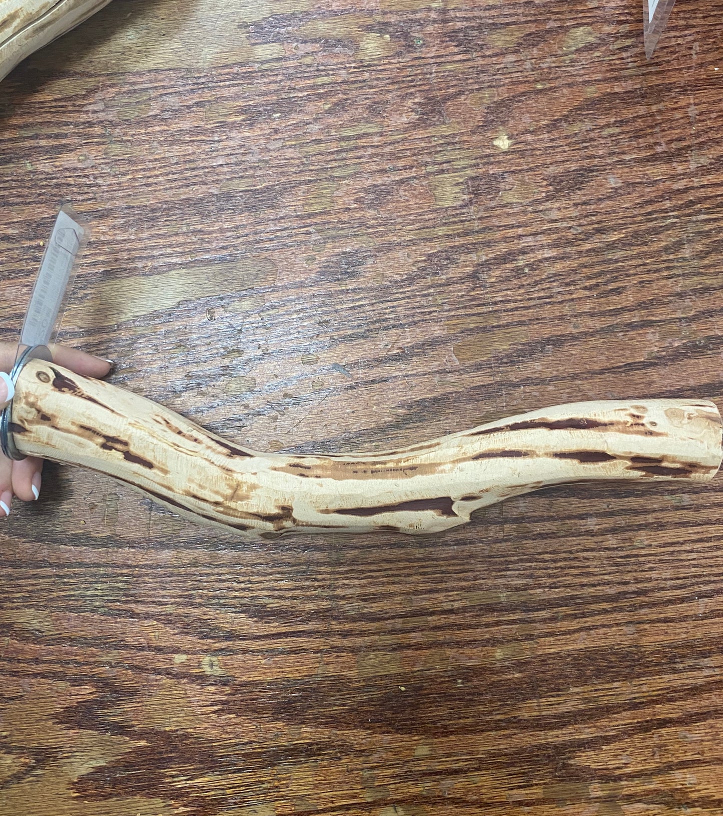 MANZANITA MED 12IN APROX