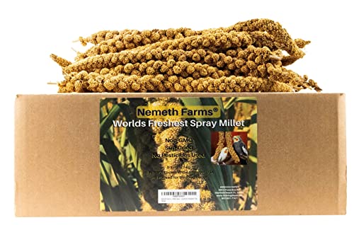 Nemeth Farms Worlds Freshest Sun-Dried Spray Millet 5lb | Golden