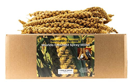Nemeth Farms Worlds Freshest Sun-Dried Spray Millet 5lb