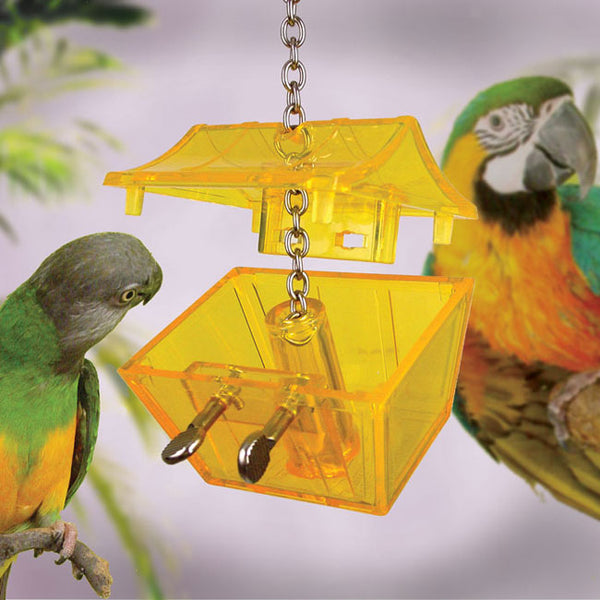 Nature's Instinct Parrot Treasure