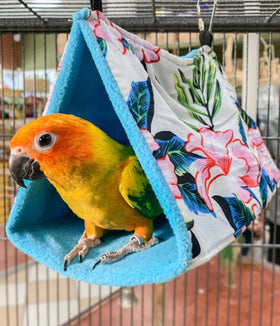 Birds LOVE Parrot Hut for Small Birds