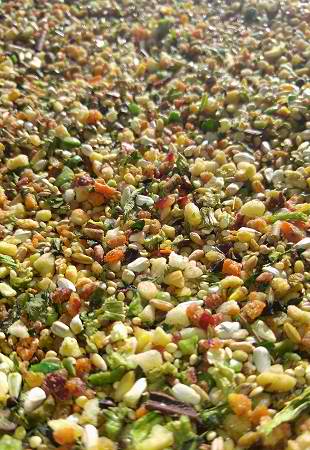 Nature's Garden Organic Medium 24oz