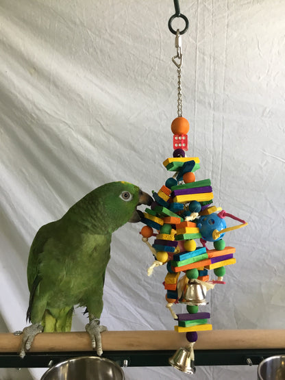 Birds LOVE Waldo's Wonder