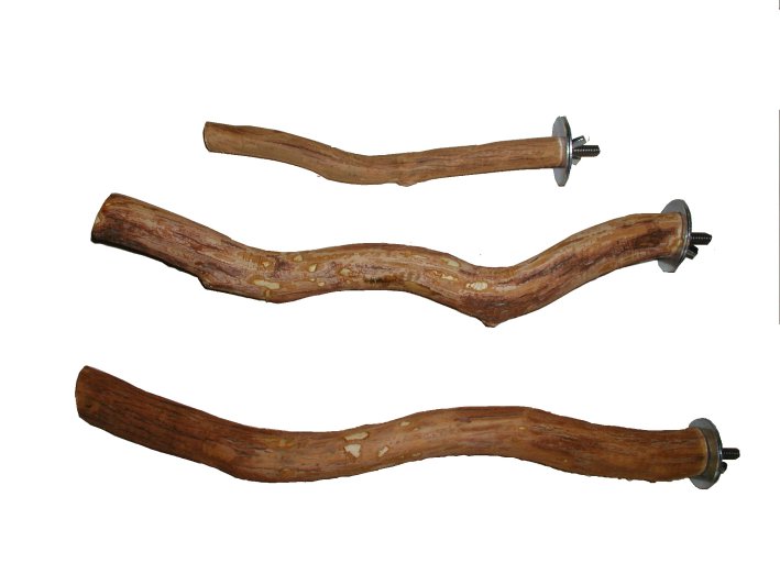 Dragonwood Perch - Bolt One End,1" - 1.5in" x 15" - 18”