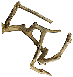 A&E Java Wood Multi Branch Perch - Medium