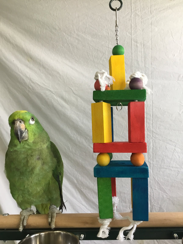 Birds love Blocks of Fun