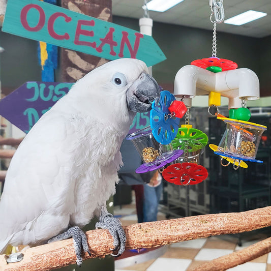 Birds love Foraging Cups Parrot Toy