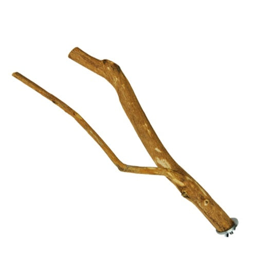 Multi-Branch Dragonwood Perch, Medium