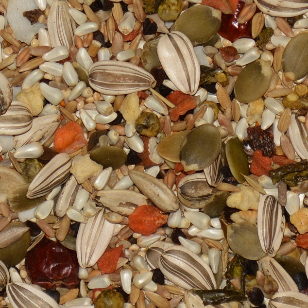 Volkman Avian Science Super Eclectus Bird Food, 4 lbs