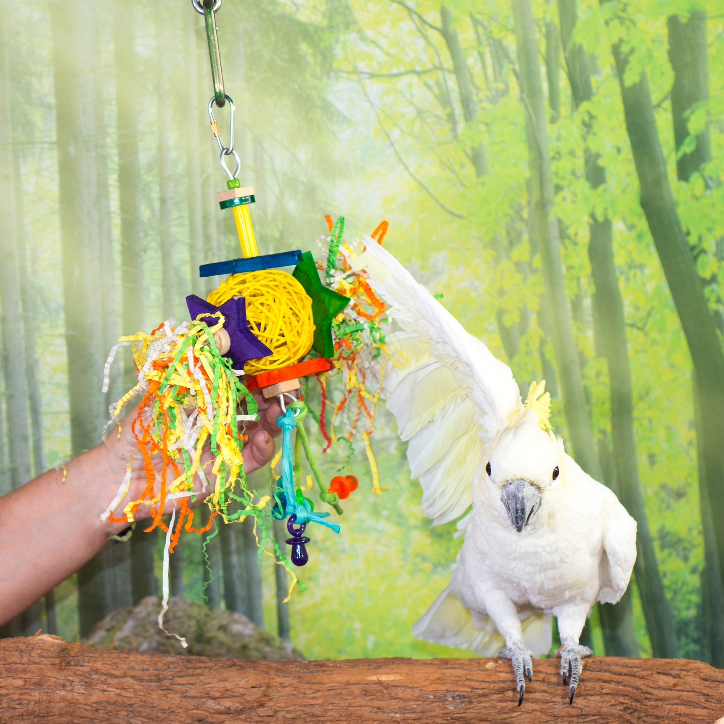 Birds LOVE Starry Mess