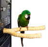 Birds LOVE Handcrafted Medium Multi-Branch Coffeewood Perch