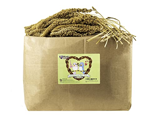 Birds LOVE French Kissed Bird Millet 25lbs