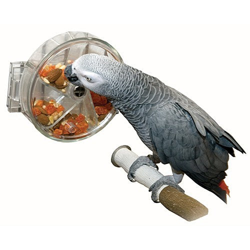 Foraging Wheel Toy Wheel Of Fortune