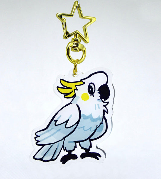 Charm-Cockatoo
