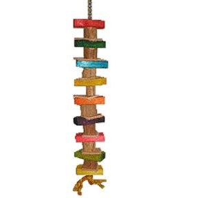 Rainbow Delite