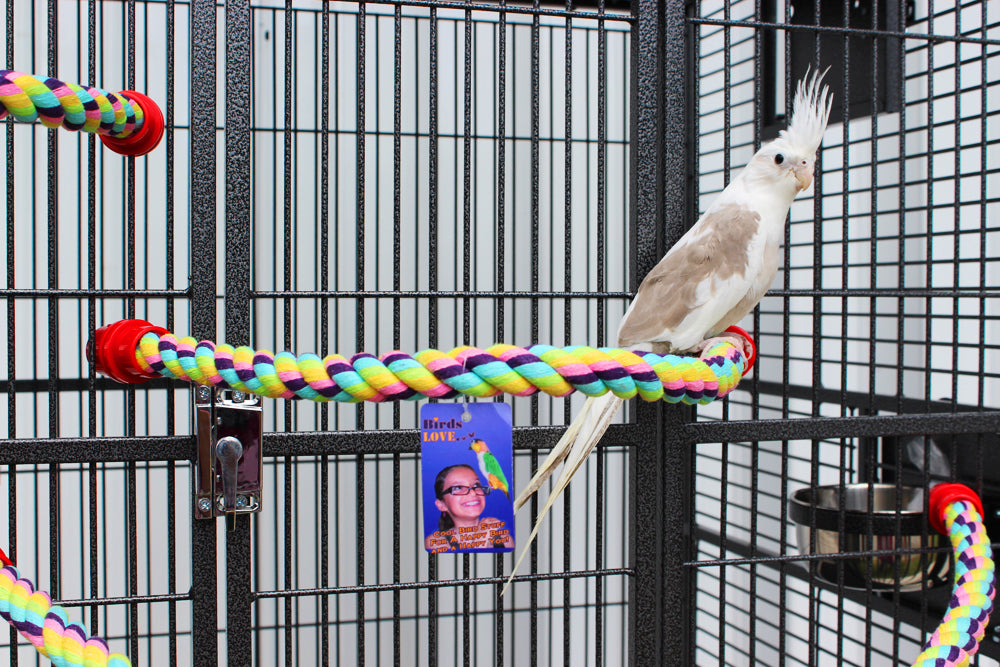 Birds LOVE Cotton Rope Perch, 3/4" x22"