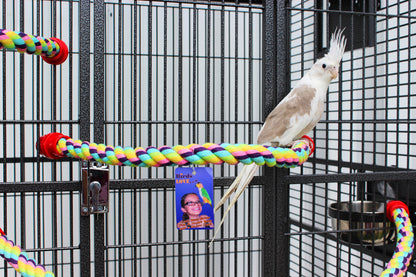 Birds LOVE Cotton Rope Perch, 3/4" x22"