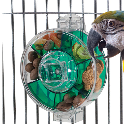 Green Foraging Wheel, Giant