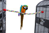 Birds LOVE Cotton Rope Perch, 36