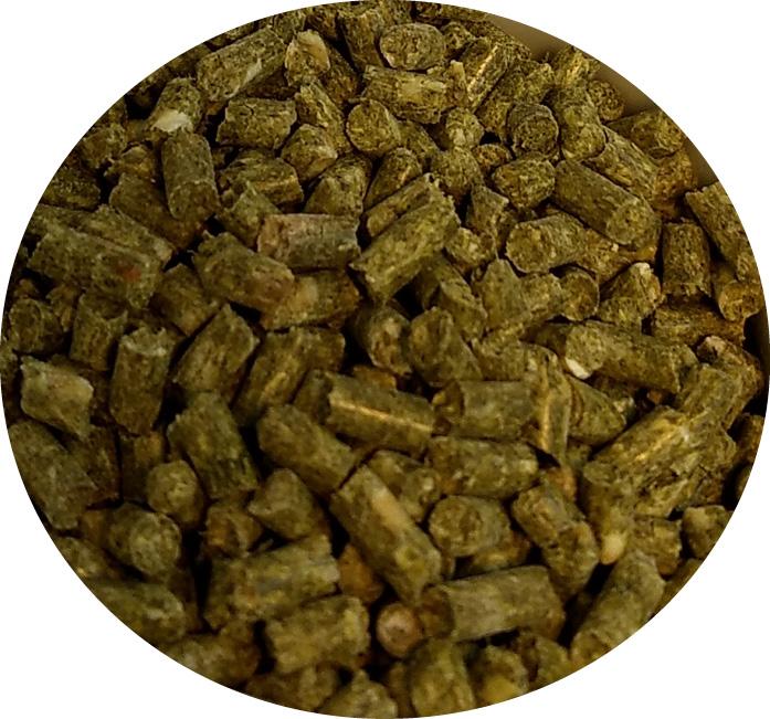 TOP's Organic and GMO-Free on All Tops Listing Titles Parrot Food Bird Pellets for Small Hookbills - 10 lb - Non-GMO, Peanut Soy & Corn Free, USDA Organic Certified