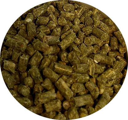 TOP's Organic and GMO-Free on All Tops Listing Titles Parrot Food Bird Pellets for Small Hookbills - 10 lb - Non-GMO, Peanut Soy & Corn Free, USDA Organic Certified