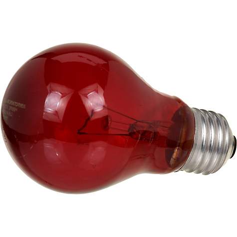 Zoo Med Nightlight Red Reptile Bulb, 60 Watts