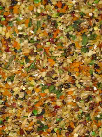 Natures Garden Organic Small 24oz