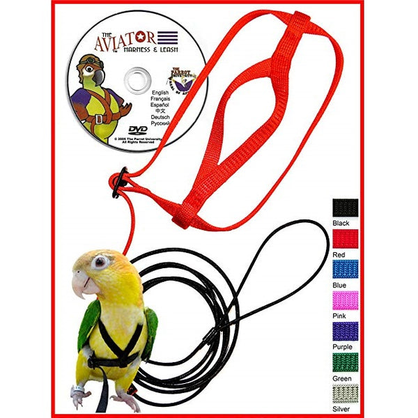 Aviator Harness and Leash X-Small, Red