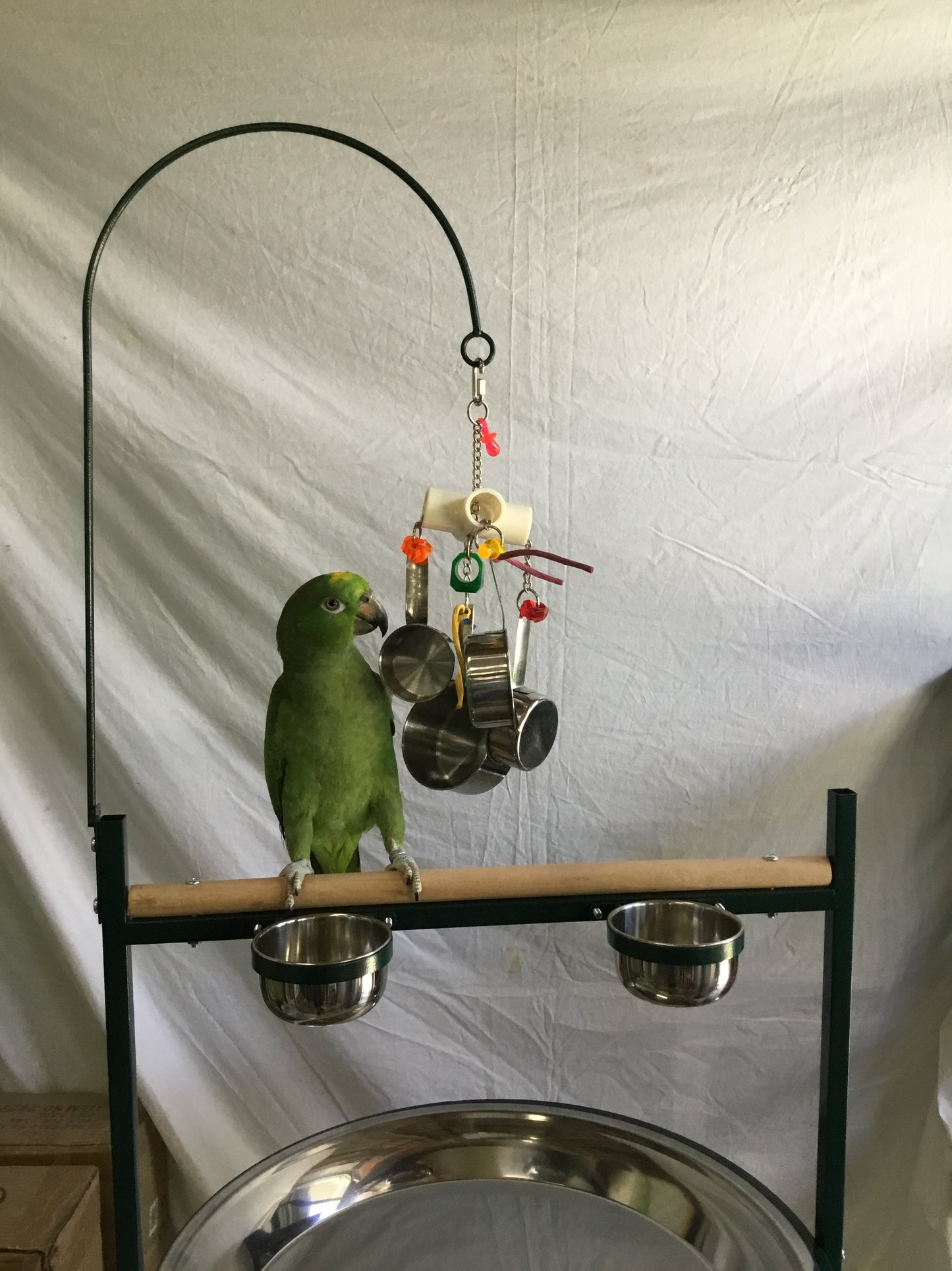 Birds love The Kitchen Sink