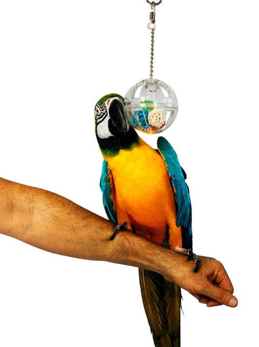 Foraging Clear Ball With Vineballs