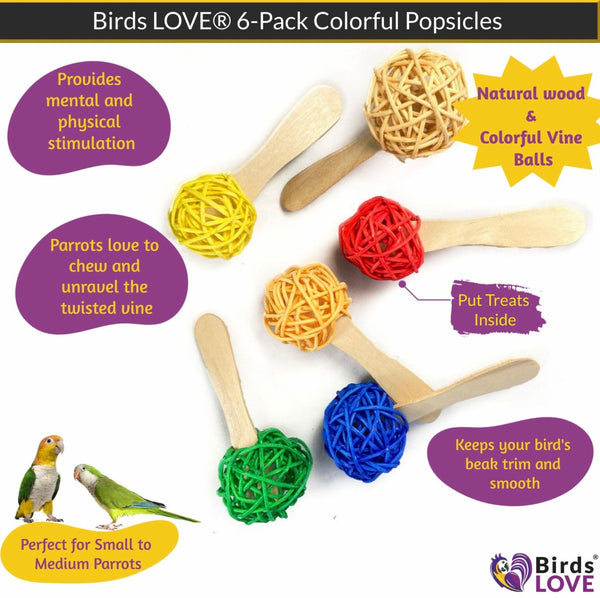 Birds LOVE 6-Pack Colorful Popsicles w Vine Ball Foot Parrot Toy